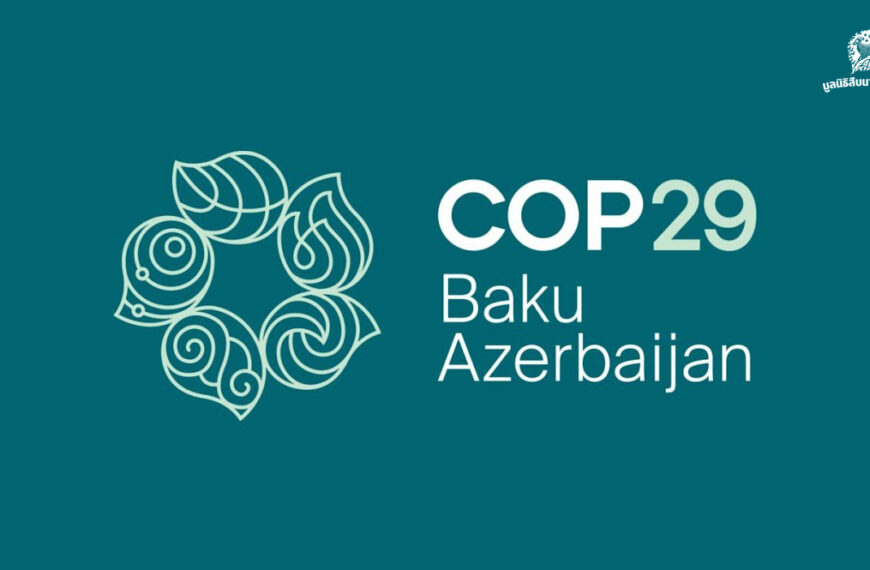 All you need to know about what went down at COP29