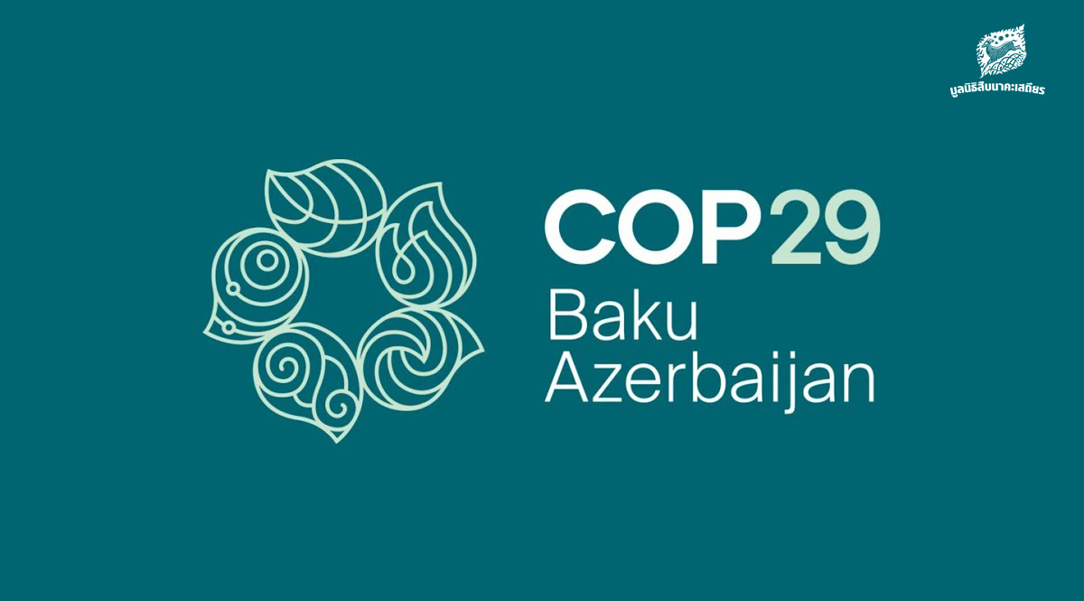 All you need to know about what went down at COP29